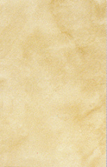 Плитка настенная Еврокерамика Каррара  (200×300 мм) бежевая